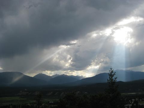 Light of Hope and Support picture